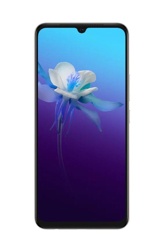 vivo v20 accessories