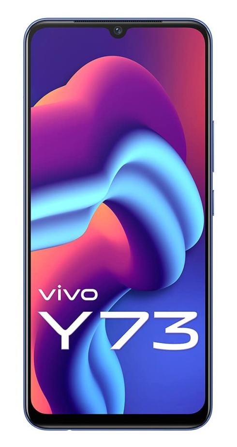 vivo y73 motherboard price